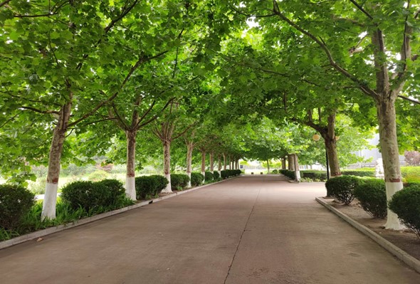 893b70163bcf8c705c6aee55a82b17e